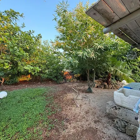 Li Cavalieri Galatina