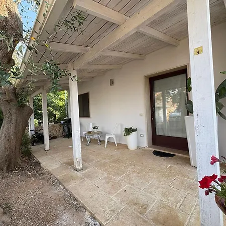 Li Cavalieri Apartament